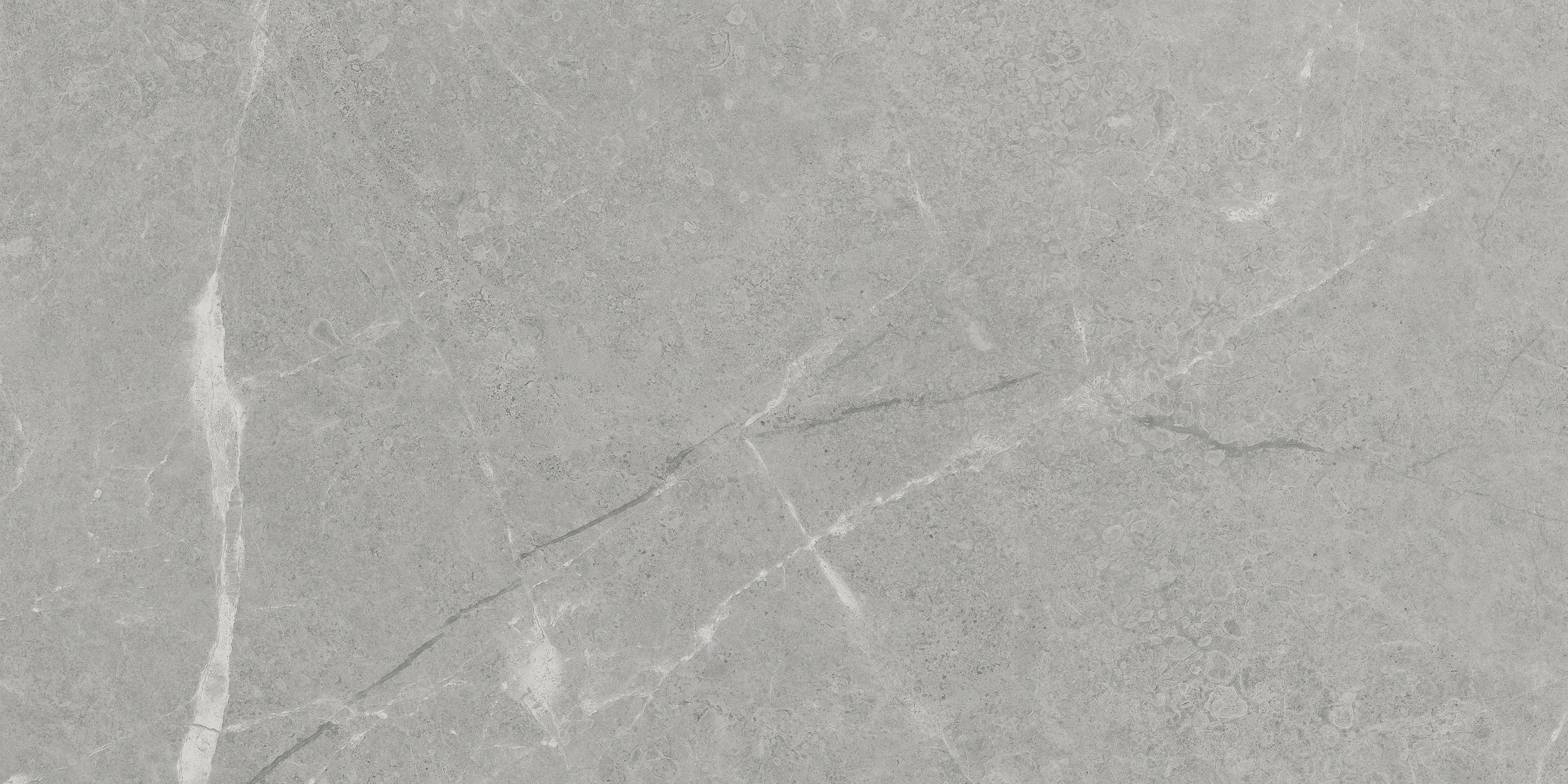 Torino Argento porcelain field tile by Anatolia, top-down product view, 12"×24"×11/32" size. Turkish porcelain for floors and walls.