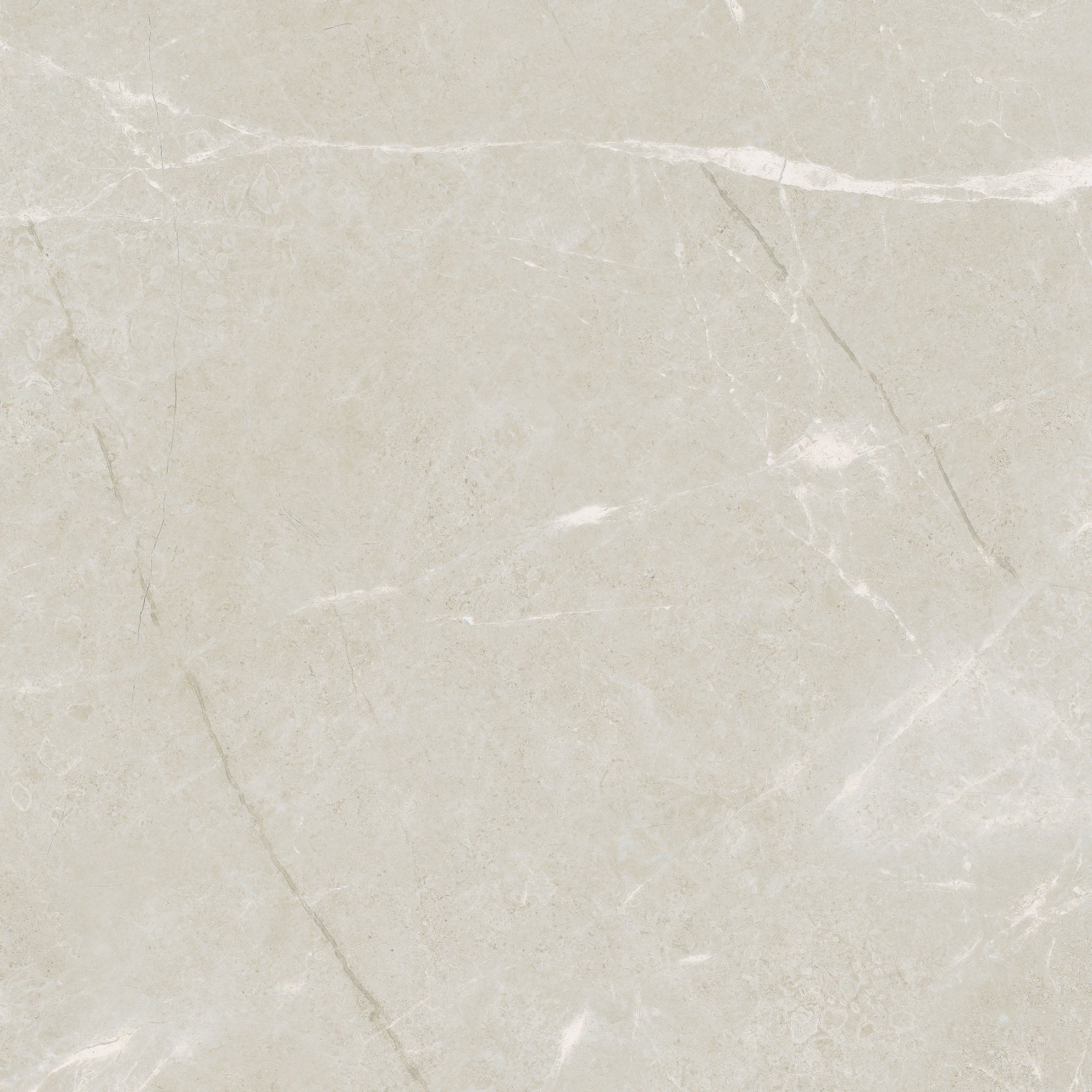 Torino Avorio porcelain field tile by Anatolia, top-down product view, 20"×11/32" size. Turkish porcelain for floors and walls.