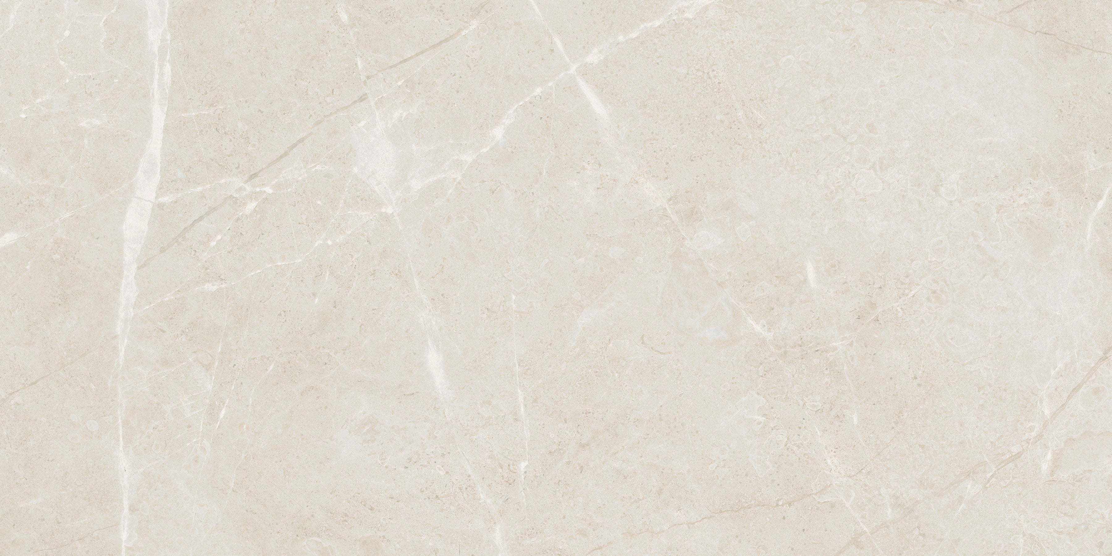 Torino Avorio porcelain field tile by Anatolia, top-down product view, 12"×24"×11/32" size. Turkish porcelain for floors and walls.