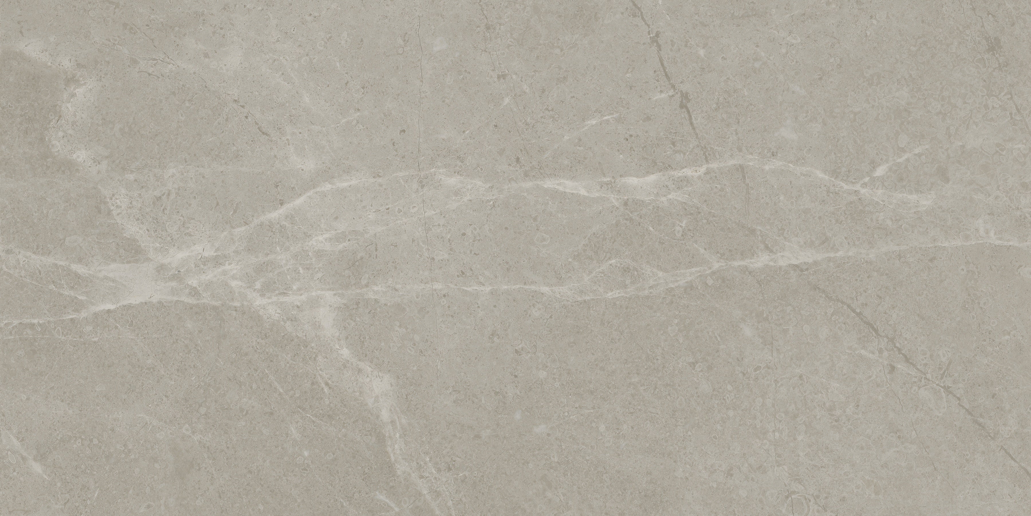Torino Vanizio porcelain field tile by Anatolia, top-down product view, 12"×24"×11/32" size. Turkish porcelain for floors and walls.