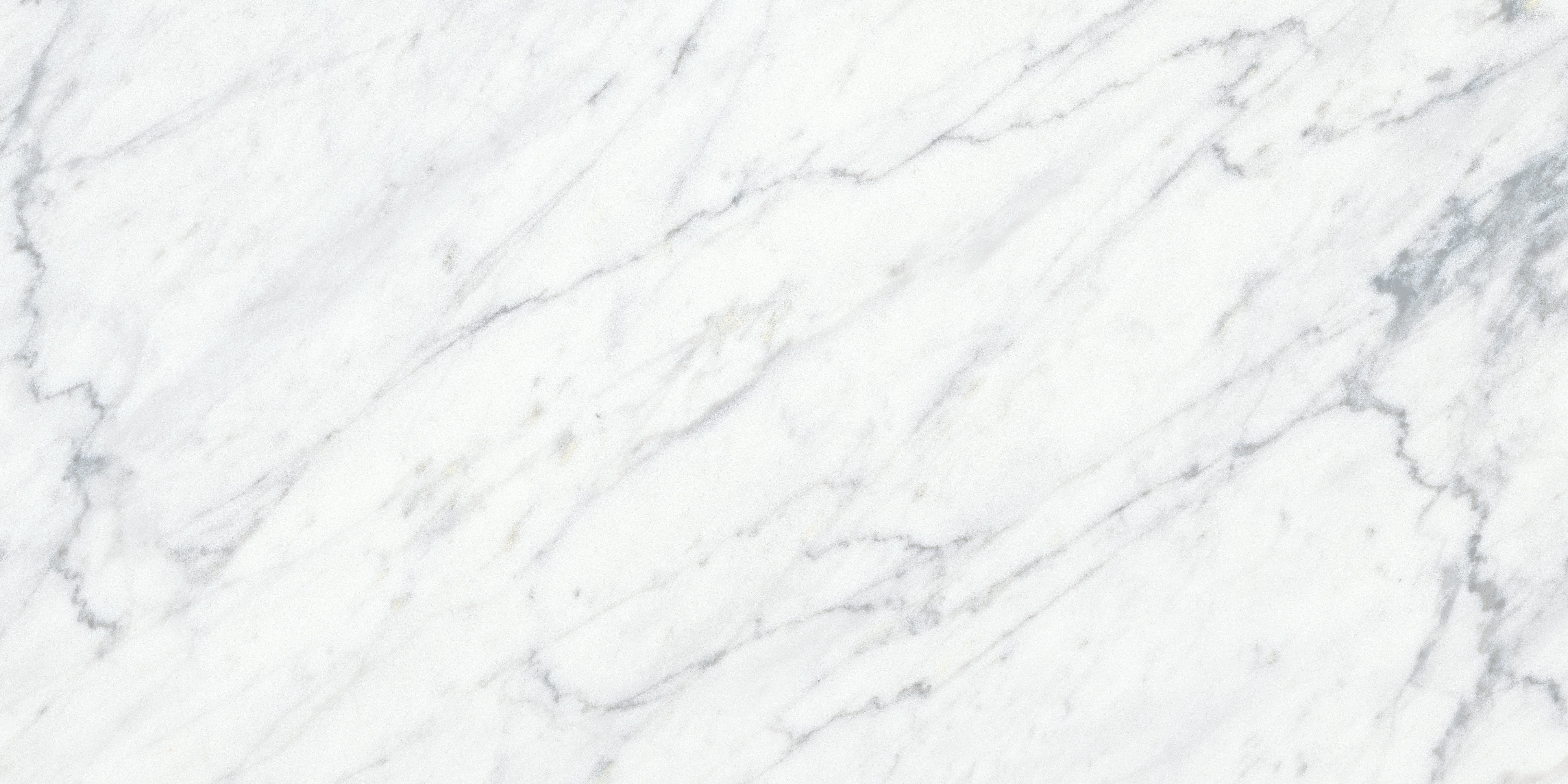 Virtue Bianco marble field tile by Anatolia, top-down product view, 12"×24"×15/32" size. Turkish marble for floors and walls.