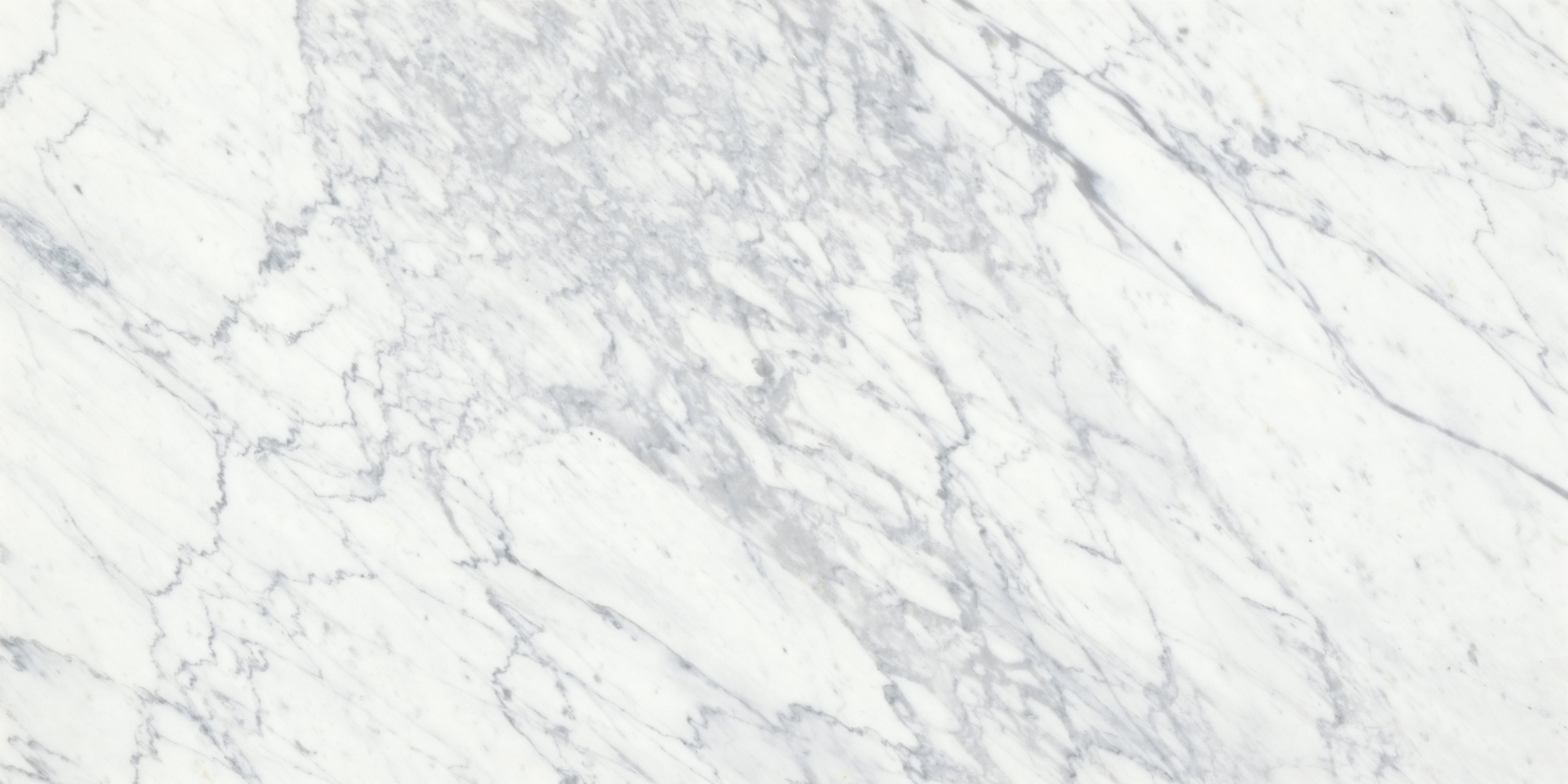 Virtue Bianco marble field tile by Anatolia, top-down product view, 18"×36"×15/32" size. Turkish marble for floors and walls.
