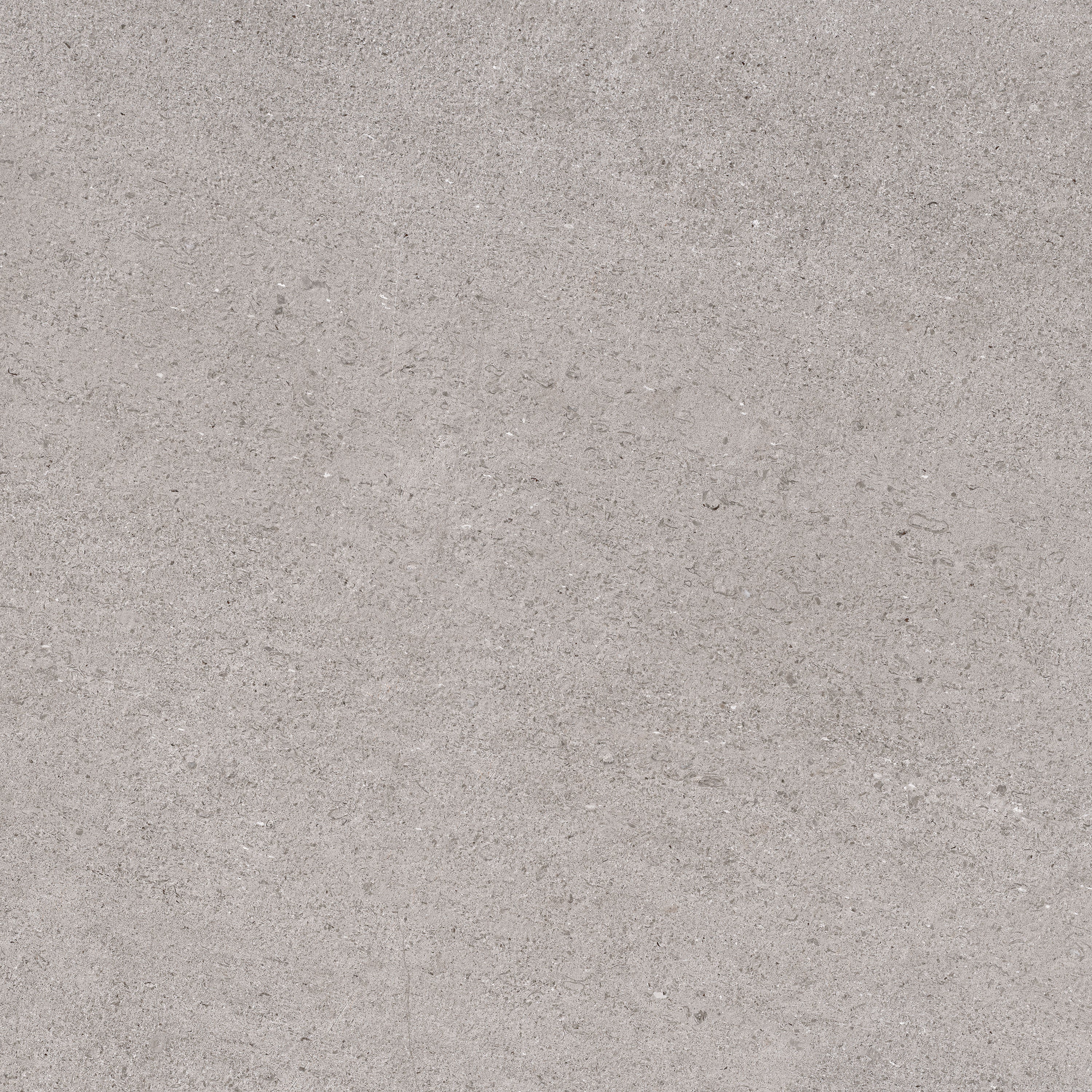 FRONTIER20 Absolute porcelain pavers, top-down product view, 24"×25/32" size. Premium porcelain for floors and walls.