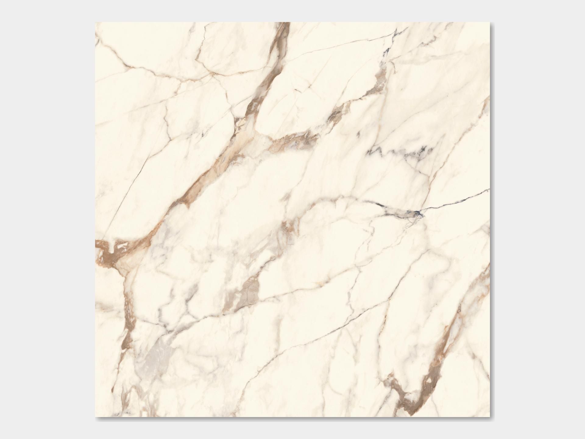 Calacatta Gold Floor Tile (47x47x6-mm | polished)