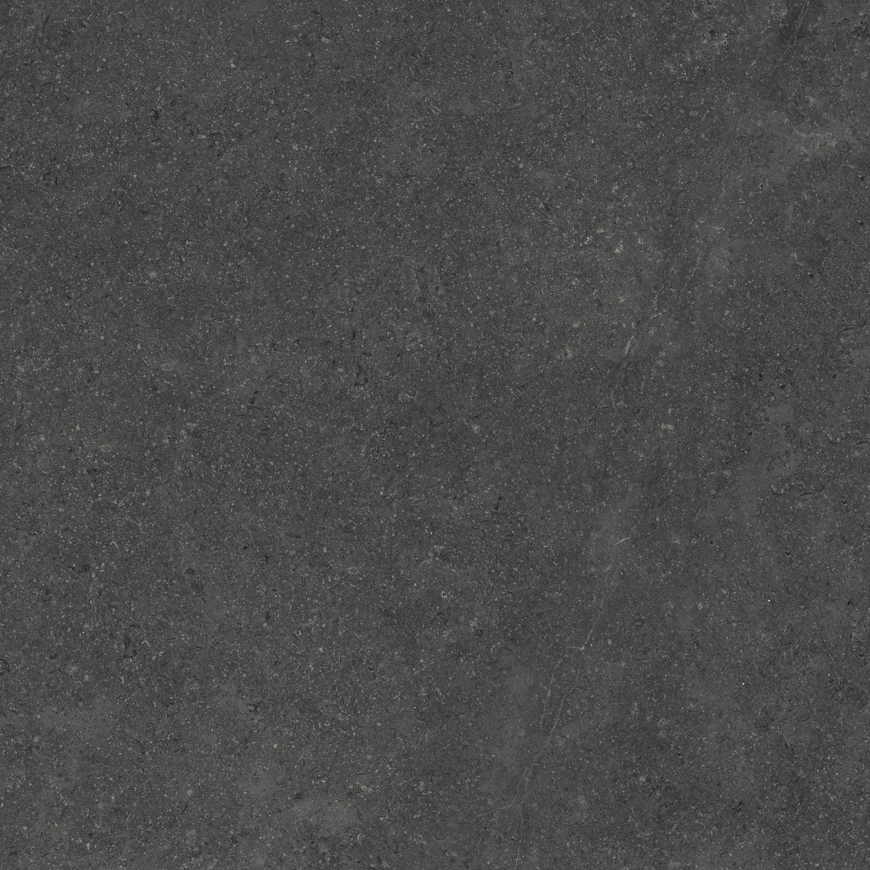 FRONTIER20 Charcoal porcelain pavers, top-down product view, 24"×25/32" size. Premium porcelain for floors and walls.