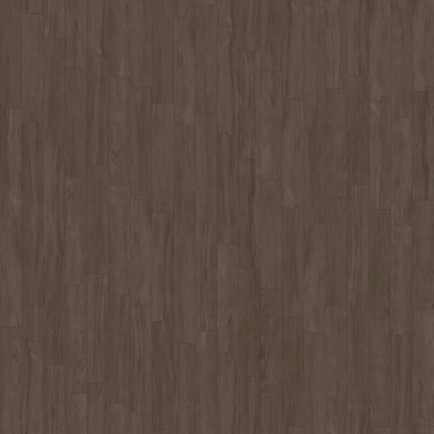 EBONY Timber – Porcelain collection