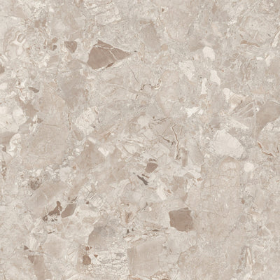 Limestone tile and surface collection