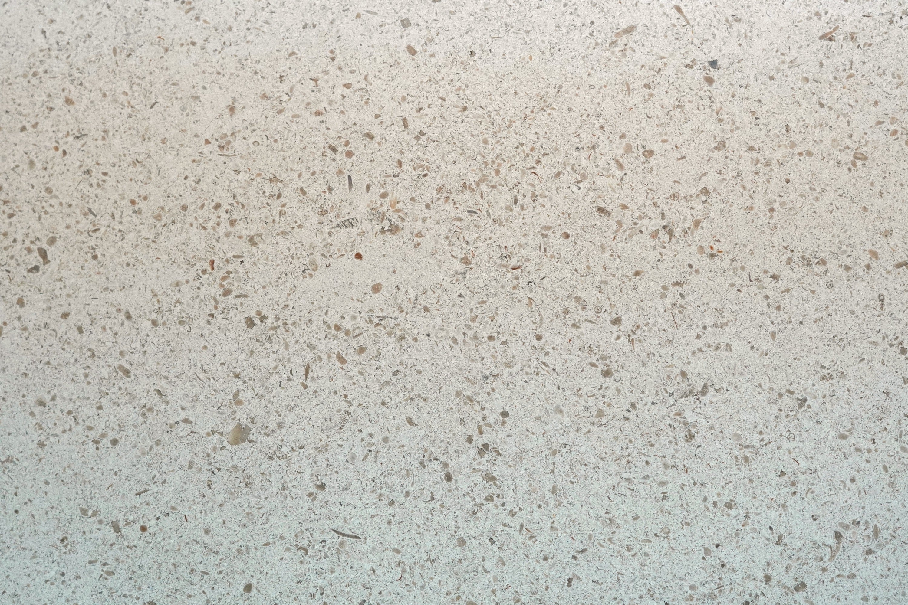 Gascogne Beige limestone coping, alternate product view, 16"×24"×1 31/32" size. Premium limestone for floors and walls.