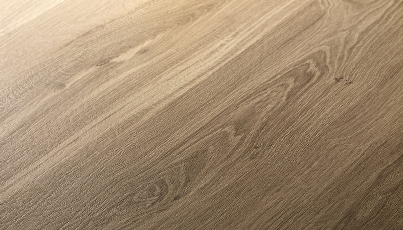 Porcelain Stoneware Level Level Wood Wood Image Detail Blonde Oak lifestyle image