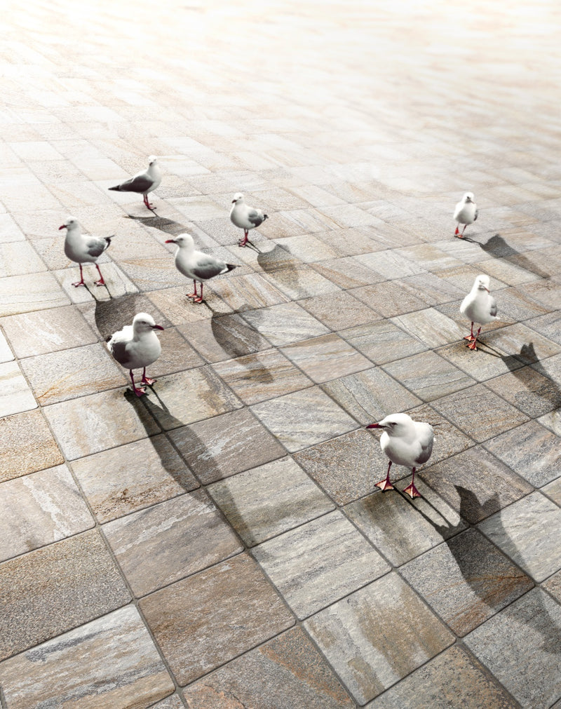 Trail Terracotta Emiliana Porcelain lifestyle image