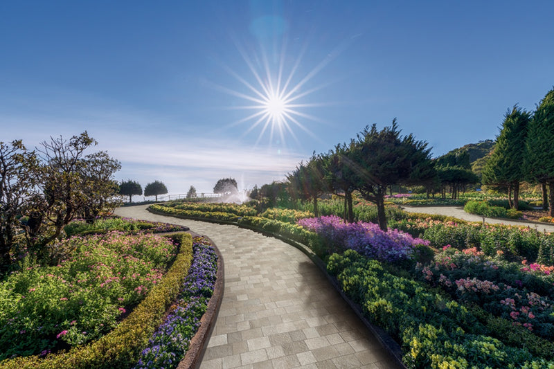 Trail Terracotta Emiliana Porcelain lifestyle image