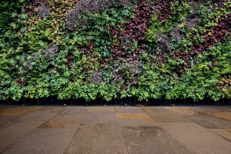 Trail Terracotta Emiliana Porcelain lifestyle image