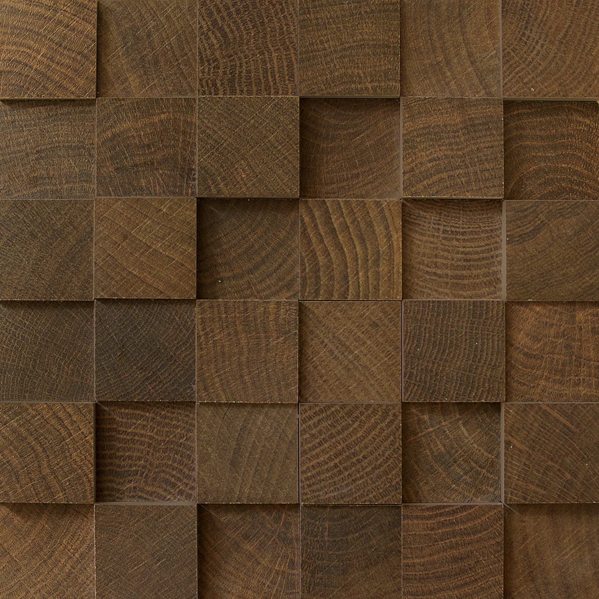 W-Circles Wenge' porcelain mosaic tile by Emil, naturale finish, 11"x11"x9-mm size. Premium Italian porcelain for floors and walls.