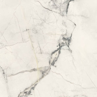 Cote Azure Deluxe Charme Evo Tile Collection - Surface Group