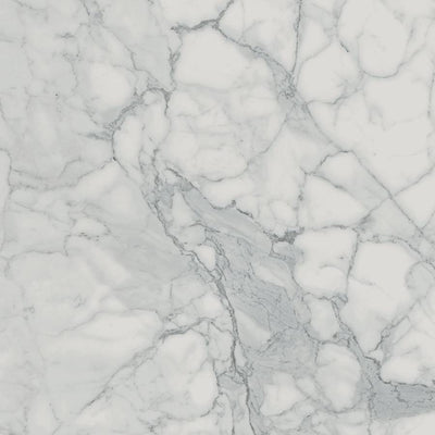 Veined Statuario Charme Tile Collection - Surface Group