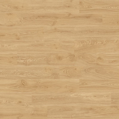 Miele – Porcelain collection