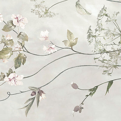 Botanic Decor – Porcelain collection