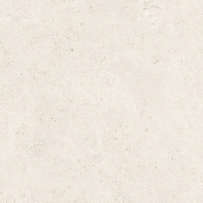 Sale – Porcelain collection