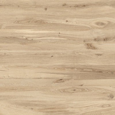 Blonde Oak Level Wood – Porcelain and Porcelain Tile collection