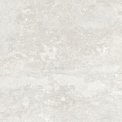 Ivory – Porcelain collection