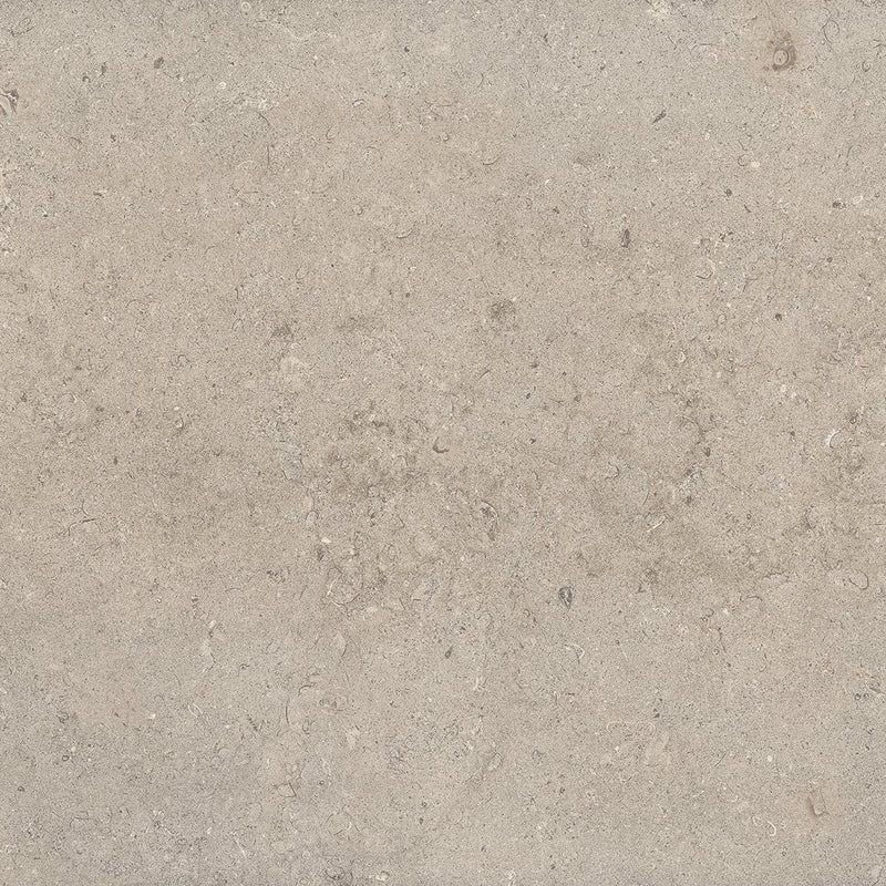 Antique Cream Lith β Porcelain collection