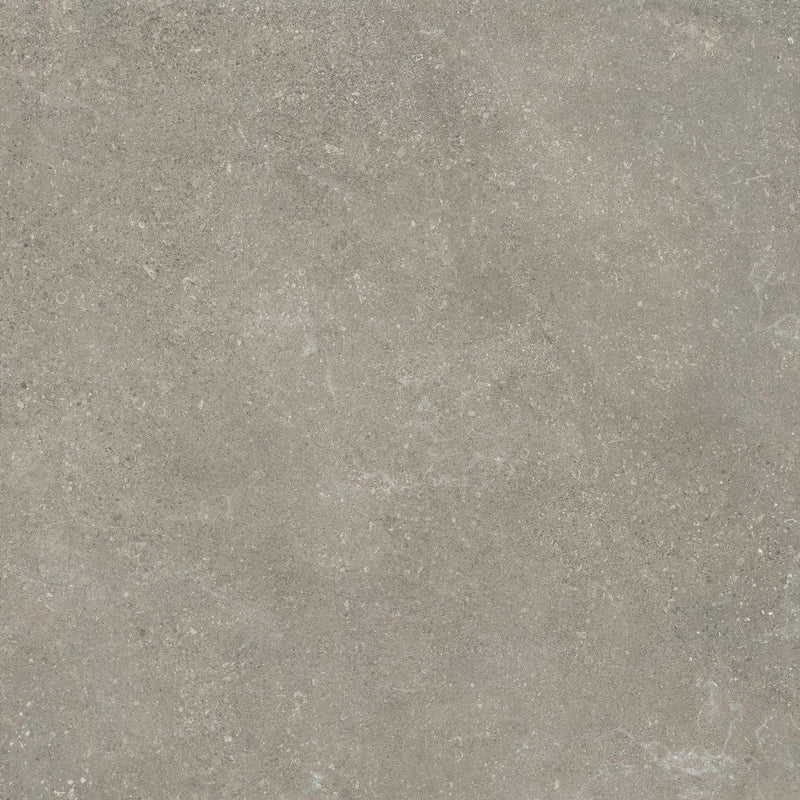 Wander Ash Untamed – Porcelain collection