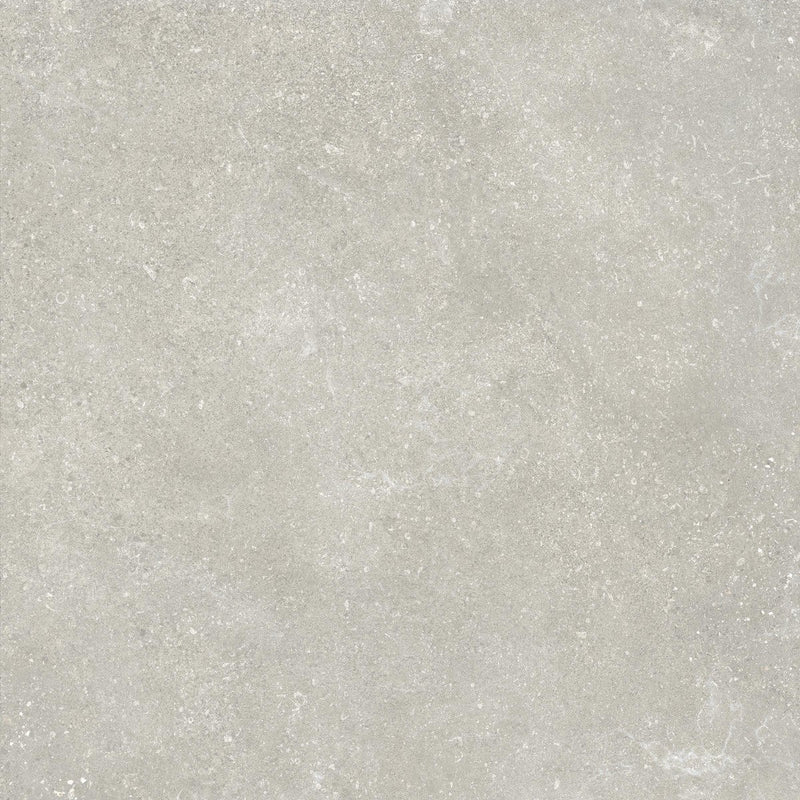 Wander Cool Untamed – Porcelain collection