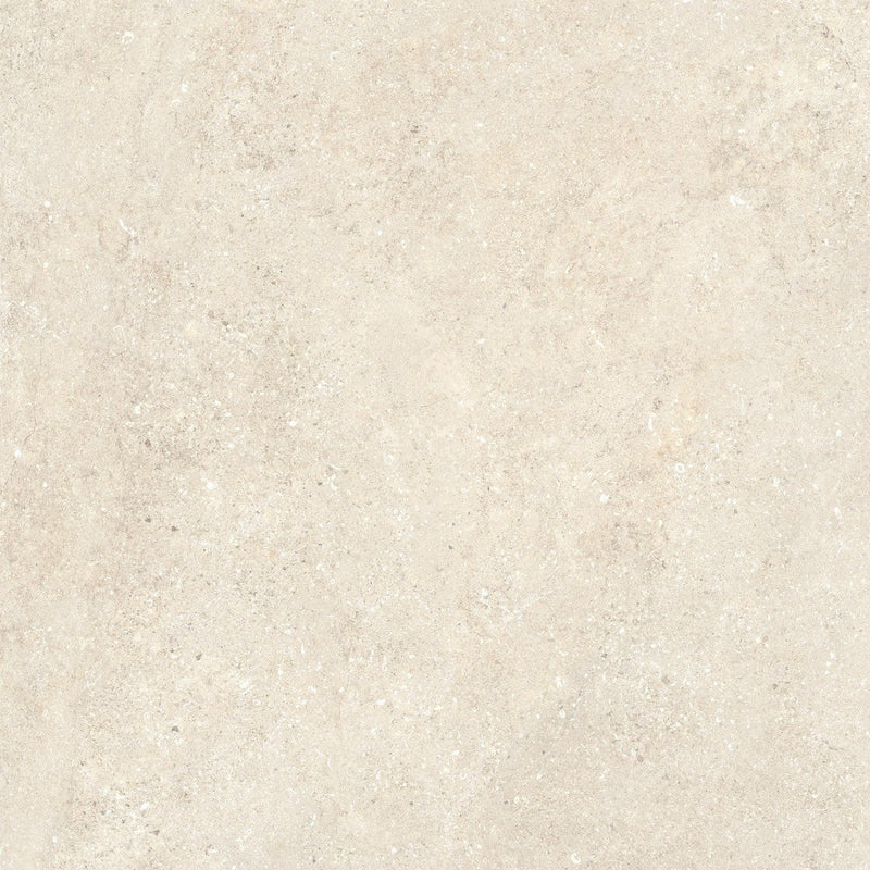 Wander Warm Untamed β Porcelain collection