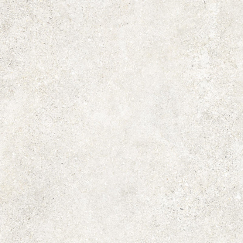 Wander White Untamed β Porcelain collection