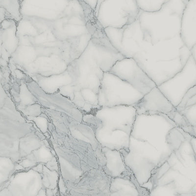 Veined Statuario – Ceramic Materials collection