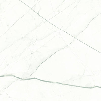 Classic White Beyond Calcatta β Porcelain collection