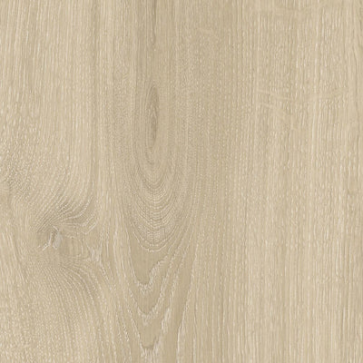 Beige Elixir – Porcelain collection