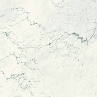 White Calacatta Extra White Aesthetica β Porcelain collection