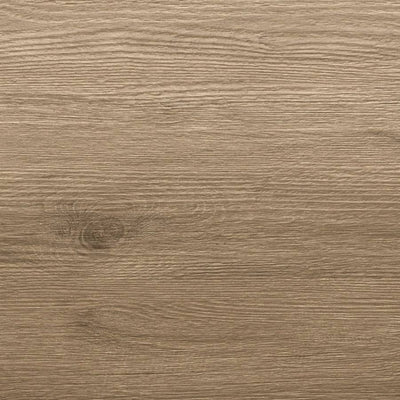 Hazelnut Dama β Porcelain collection