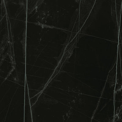 Black Trex3 β Porcelain collection