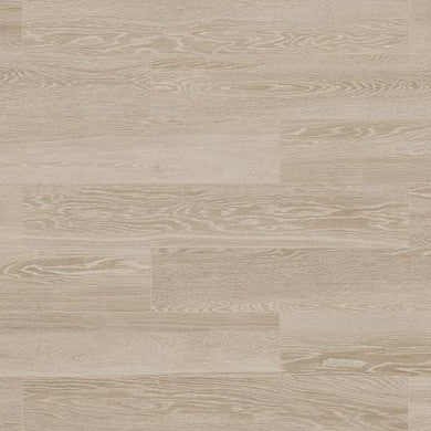 Paper Birch Aspen β Porcelain and Porcelain Tile collection