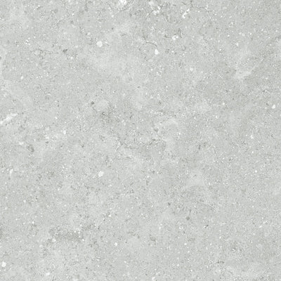 Platinum – Porcelain and Porcelain Tile collection