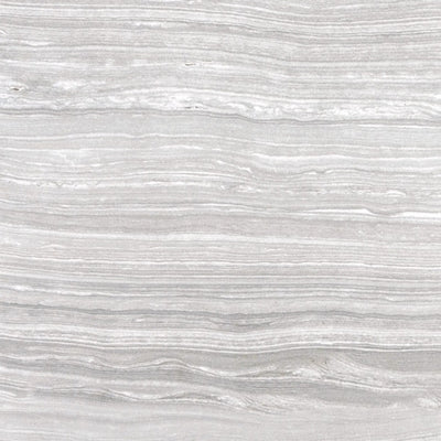 Ice Eramosa β Porcelain and Porcelain Tile collection