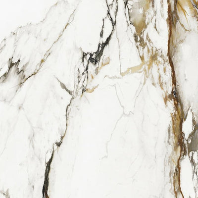 Biondo Paonazzo – Porcelain collection