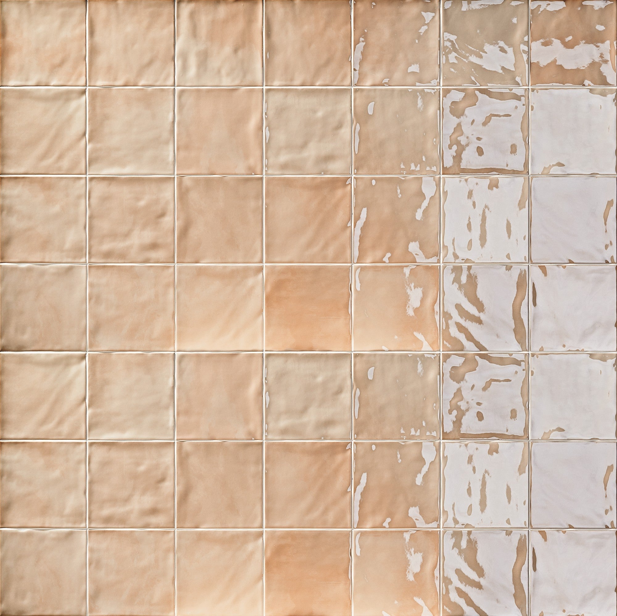 CHROMATIC SYMPHONY: Seedling Serenity Field Tile (6"x6"x9-mm | matte | pressed)