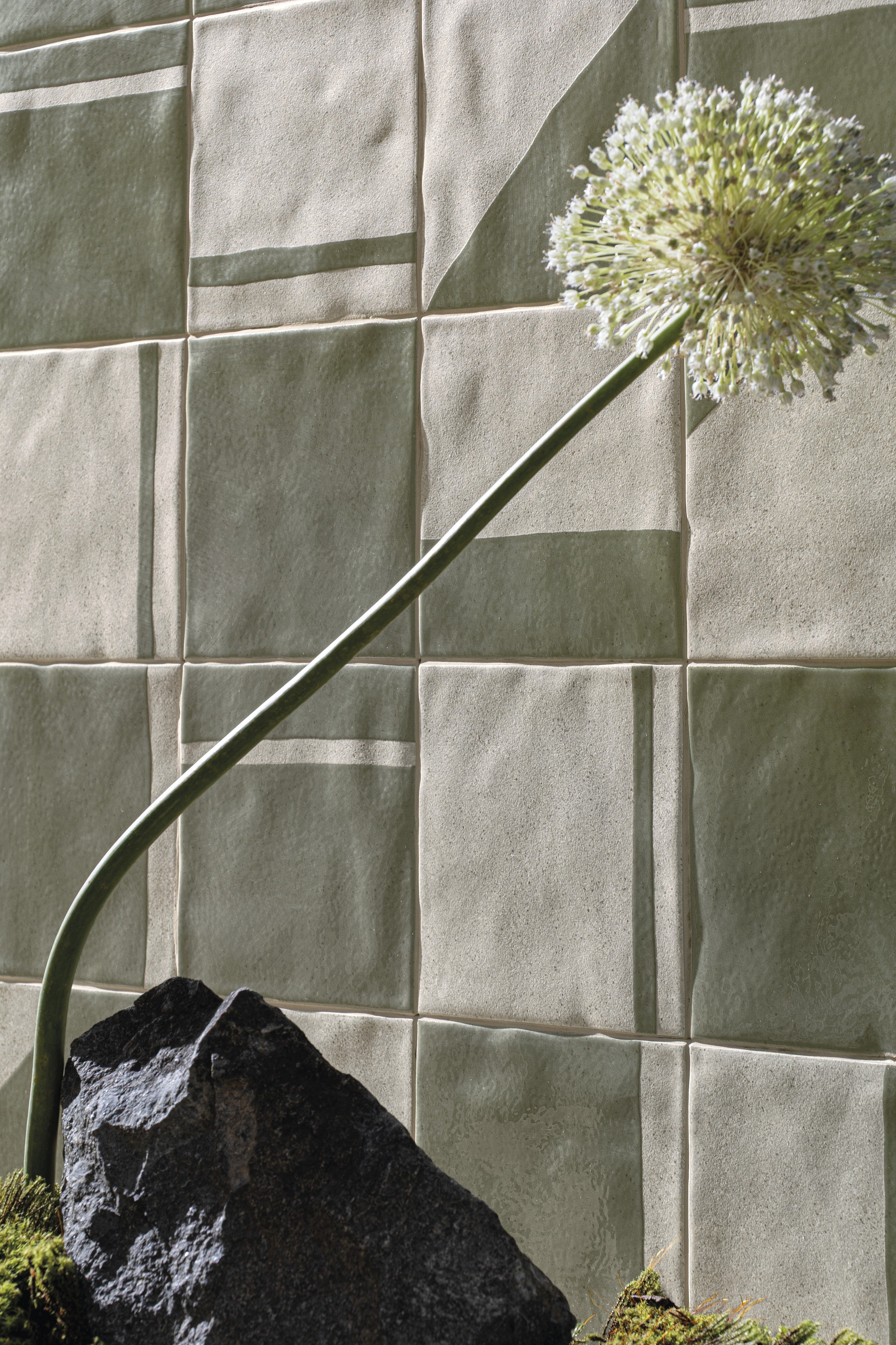 ETHEREAL HARMONY: Pistachio Melody Field Tile (6"x6"x7-mm | gloss-matte | pressed)