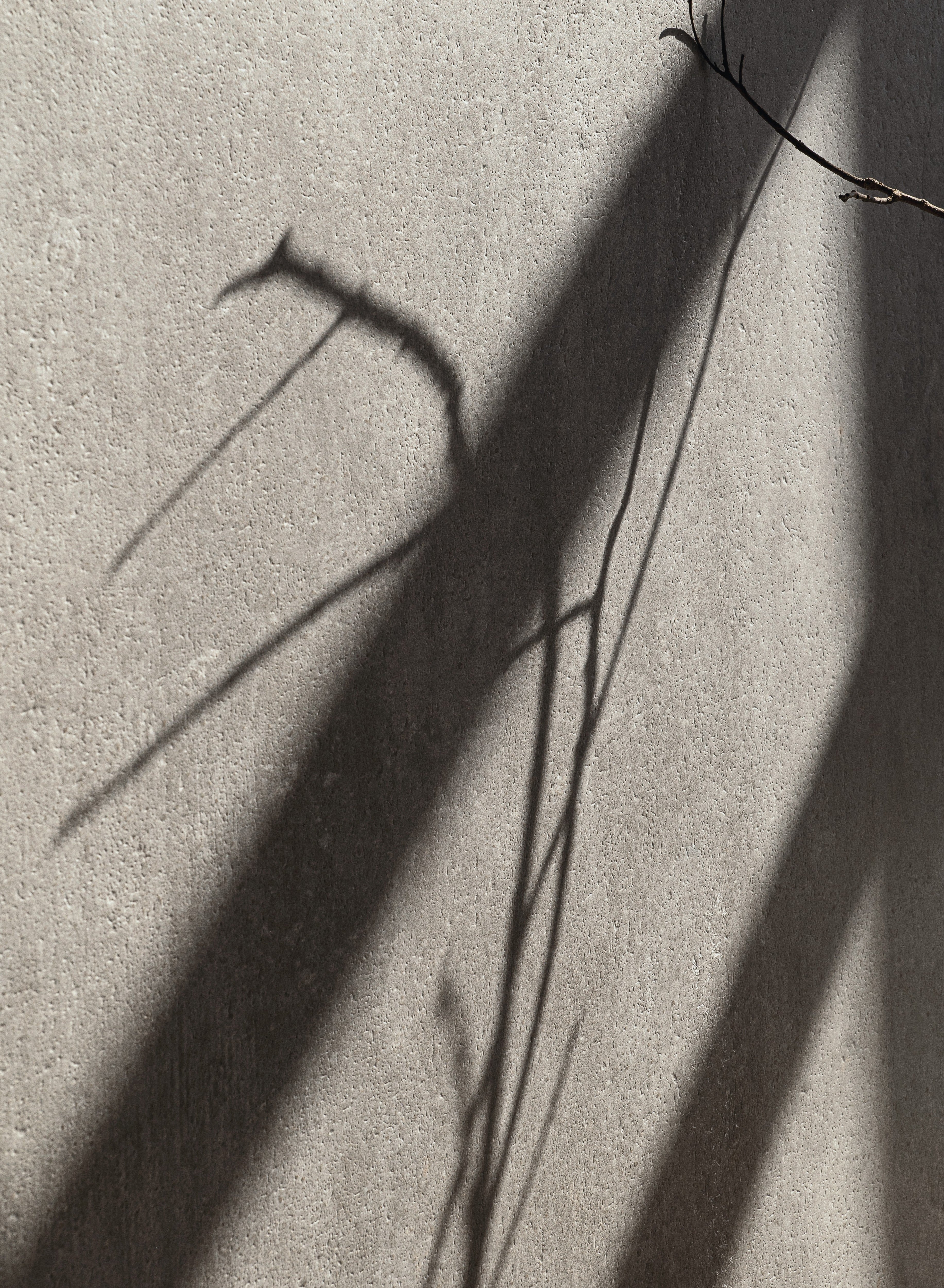 ETHEREAL HARMONY: Platinum Whirl Field Tile (48"x48"x7-mm | natural | rectified)