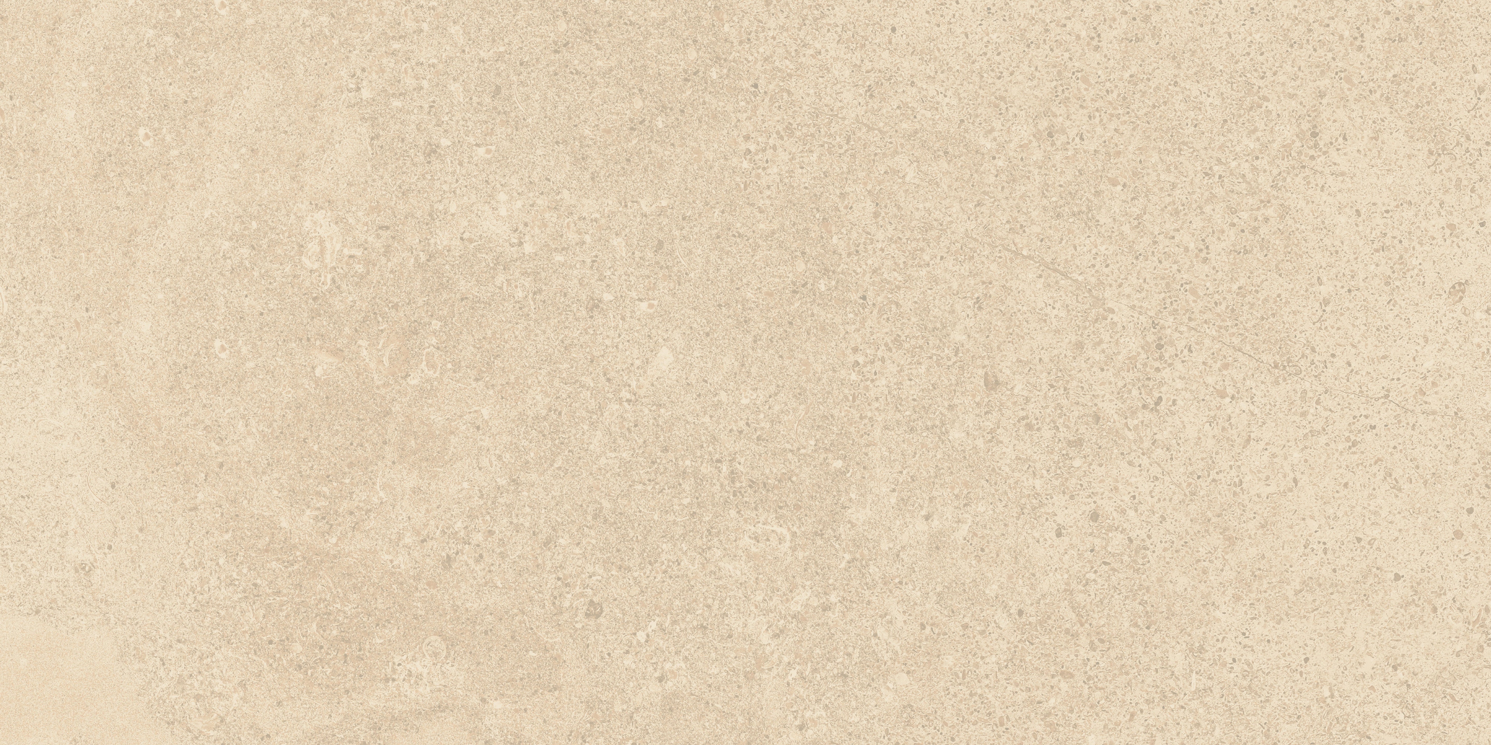 Mood Dune porcelain field tile, top-down product view, 12"×24"×11/32" size. Premium porcelain for floors and walls.