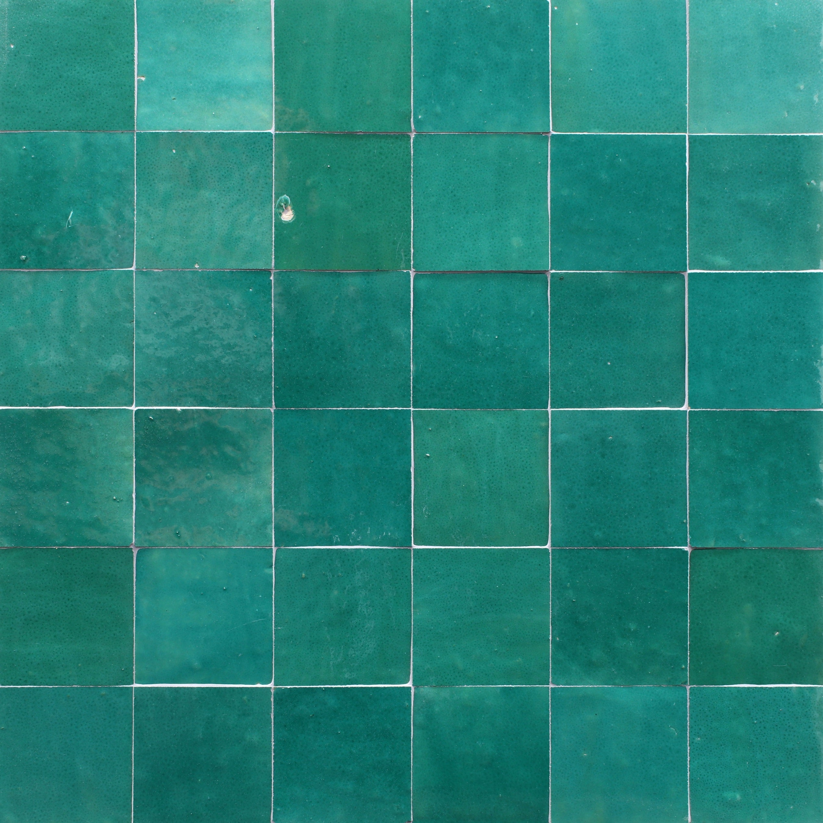 ZEL: Classic Vert Francaise Glazed Zellige Field Tile (4"x4"x1/2" | gloss)