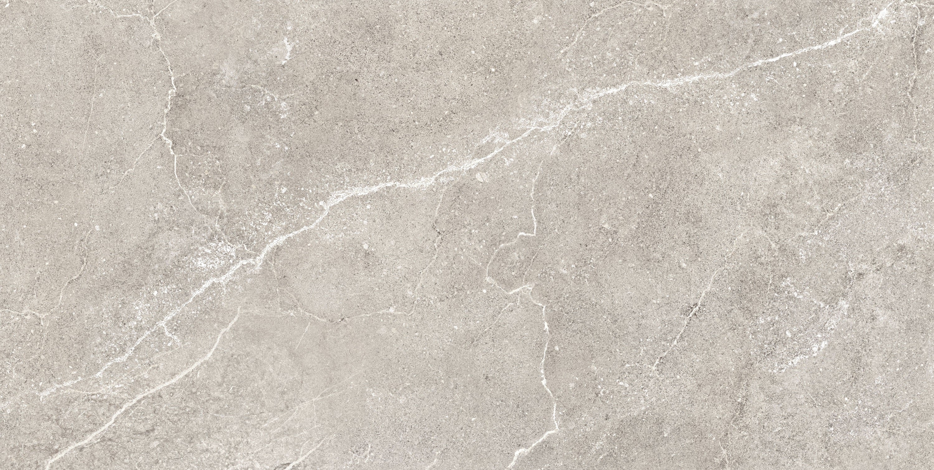 Charleston Grey porcelain field tile, top-down product view, 12"×24"×5/16" size. Premium porcelain for floors and walls.