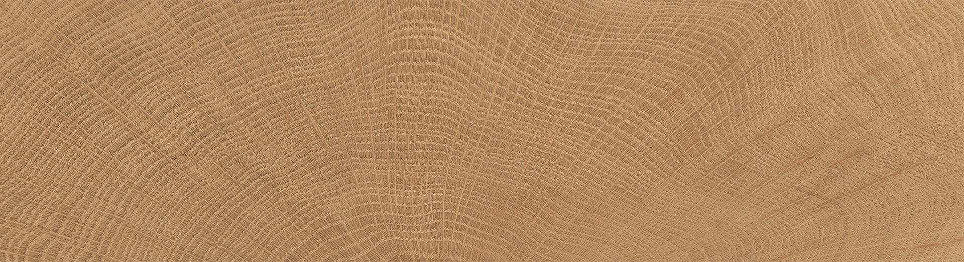W-Circles Walnut porcelain field tile by Emil, naturale finish, 2 1/8"x11 13/16"x9.5-mm size. Premium Italian porcelain for floors and walls.