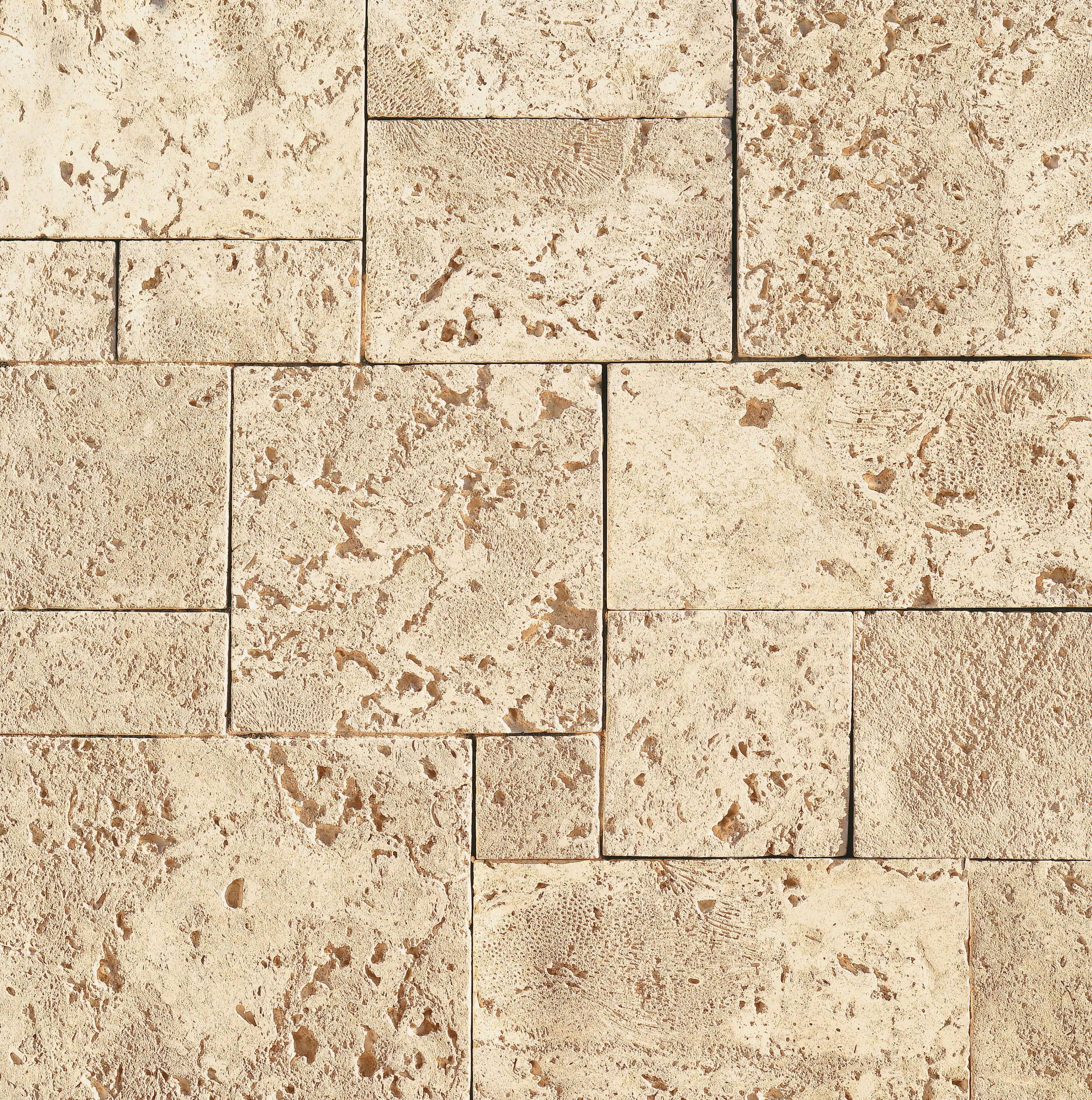 CoastalReef Pearl White manufactured stone accessories by Eldorado Stone, product image 2, 4"–12"×4"–16"×1 1/4" size. Premium manufactured stone for exterior and interior walls.