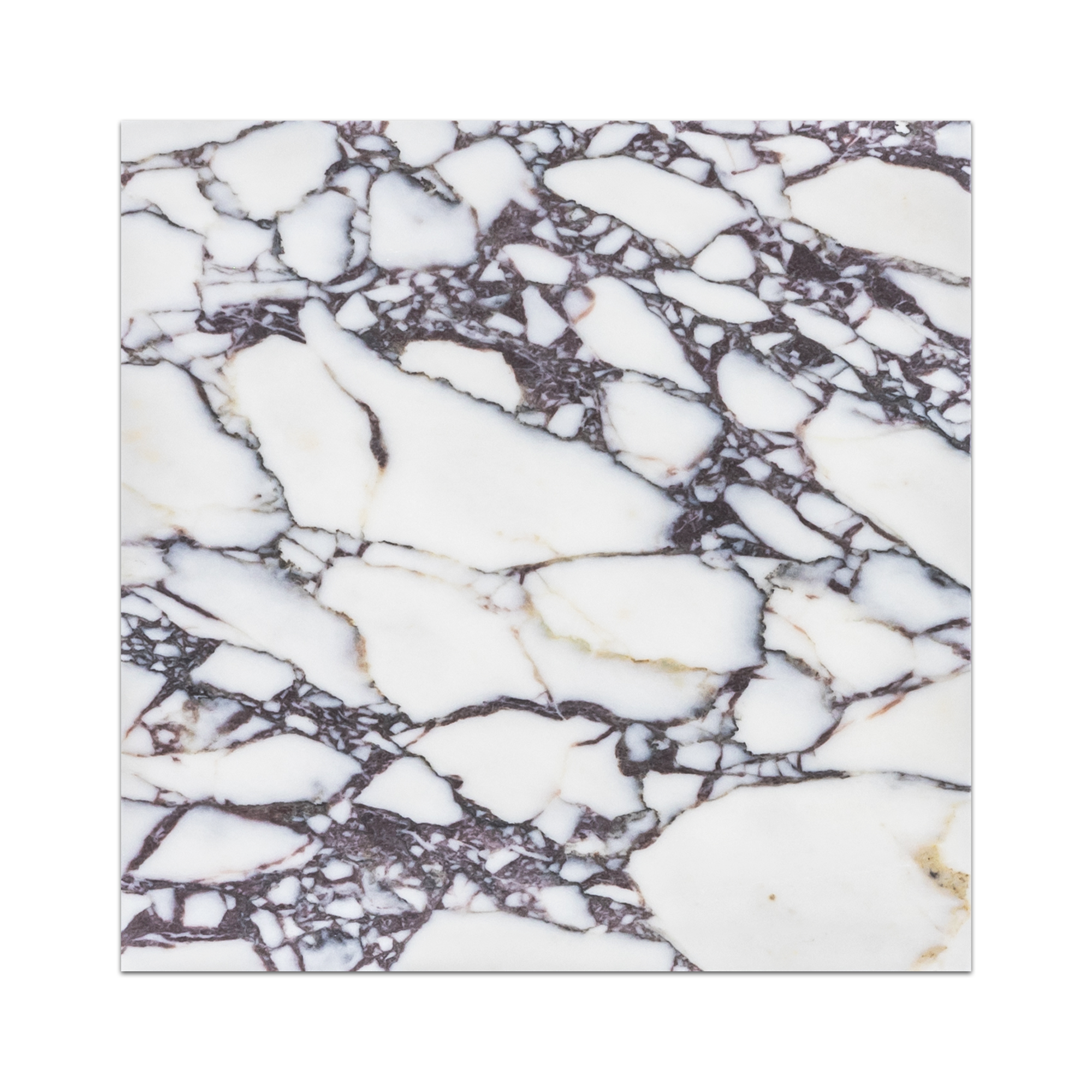 BIANCO VIOLETTA:  Marble Field Tile (12"x12"x3/8" | honed)