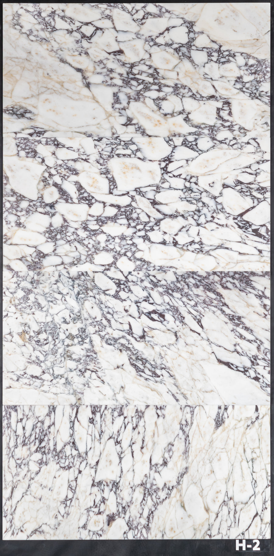 BIANCO VIOLETTA:  Marble Field Tile (18"x36"x3/8" | honed)