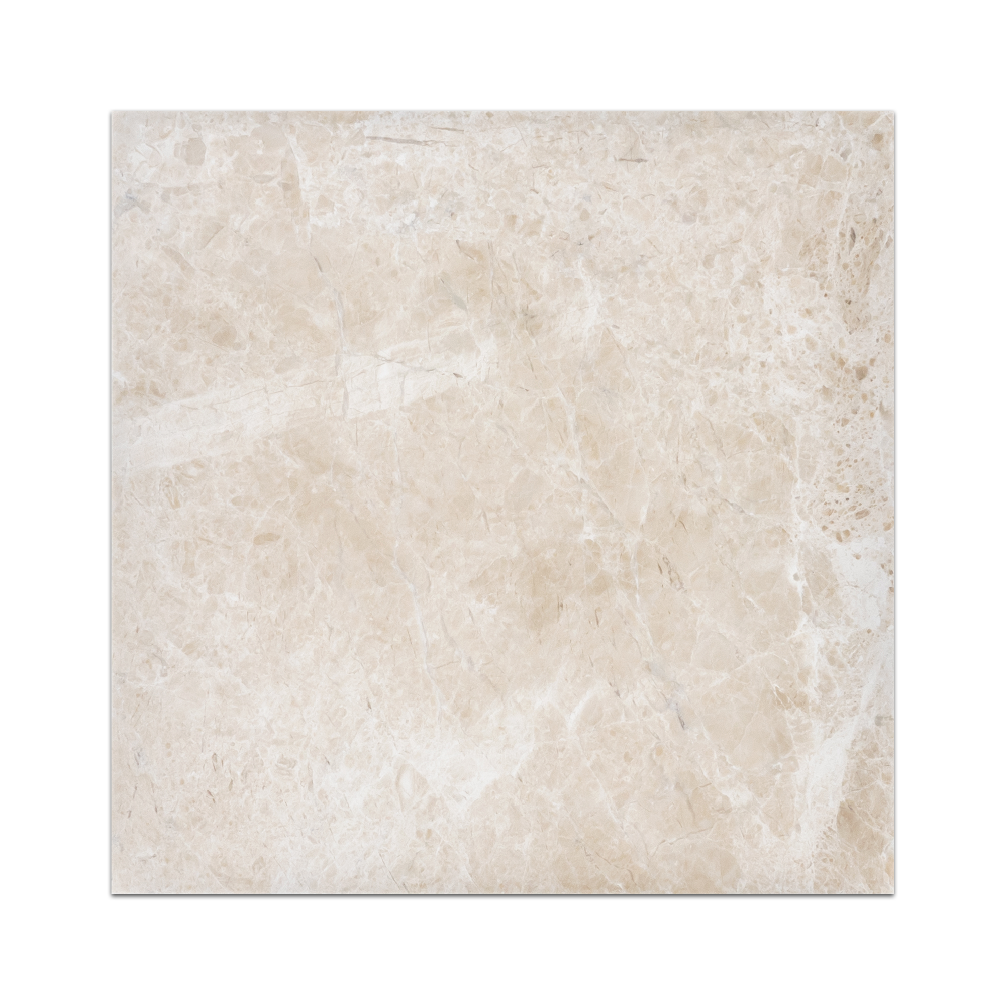 VANILLA ROYALE:  Marble Field Tile (12"x12"x3/8" | honed)